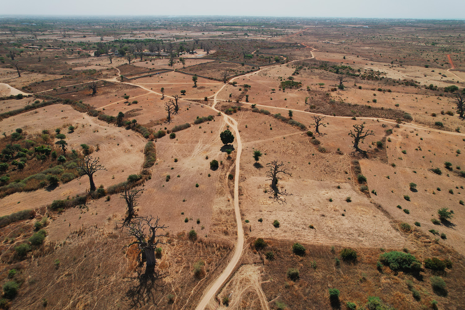 Lancement du projet Bey Diiwaan